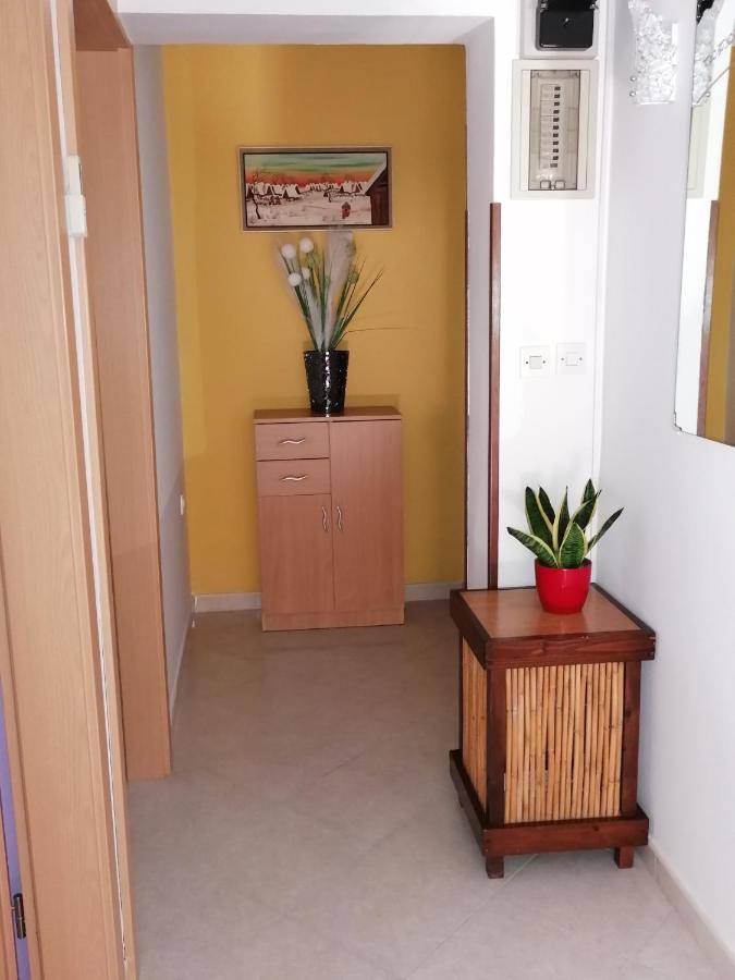 Apartman Bruna Новиград Экстерьер фото